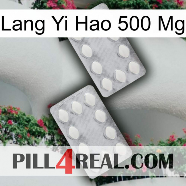 Lang Yi Hao 500 Mg 17.jpg